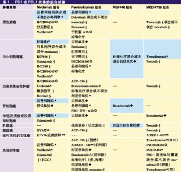 检查点新药组合决胜前夜