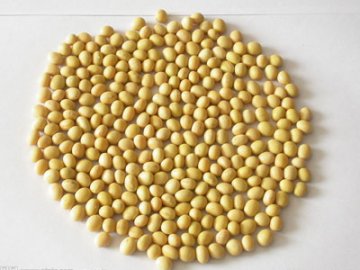 饮食养生：这25种家常食物竟是“抗衰老明星”