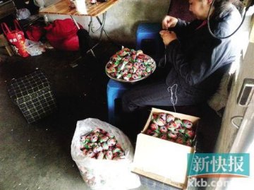 家乐氏牌世界杯玩具被曝产自东莞小作坊