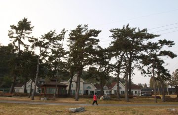 韩国麻风病岛患者生存状况