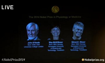 诺贝尔生理学或医学奖揭晓 三名科学家共同获得