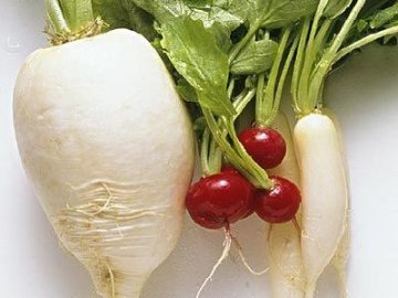 中医最爱的9种养生食物