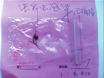 北京蜱虫事件影响