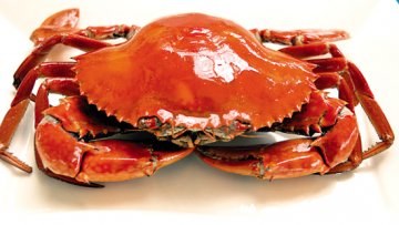 谨记这7种食物千万不能生吃