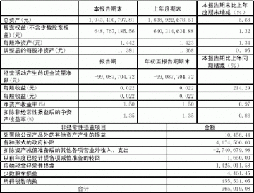 浙江医药股份有限公司2005年第一季度报告（节录）