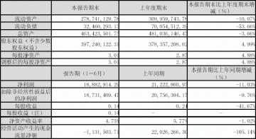 重庆华邦制药股份有限公司2005年半年度报告（节录）