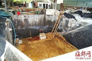 福建称查获35吨致癌金针菇是个案 未流入市场