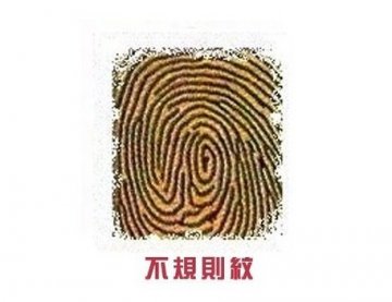 右手食指透露你的爱情秘密