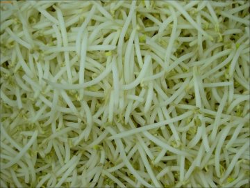 超刮油的15种神奇食物