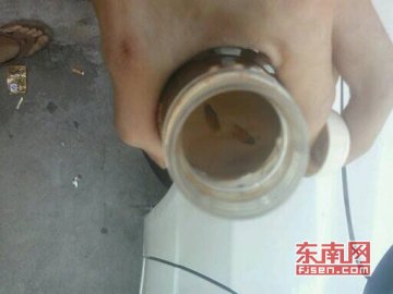 厦门银鹭集团所产雀巢咖啡喝出两虫子 被罚假一赔十