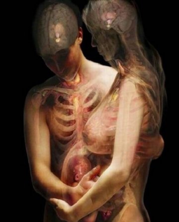 震撼：X射线下的孕妇和人体艺术