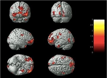 科学家称可根据大脑活动判断人的情绪