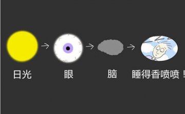 失眠了怎么办？如何专心睡眠