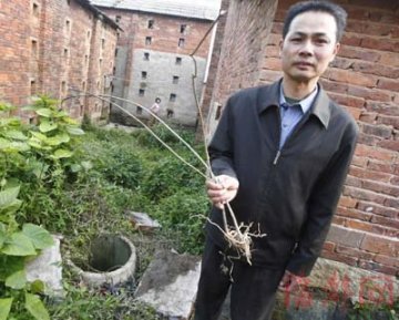 89岁老太为采草药给曾孙降火坠入废井身亡