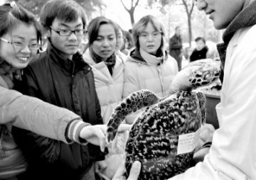 中青年成亚健康主力 白领占膏方进补人群三成多