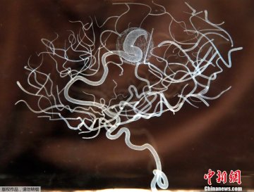 英国举办“人脑”展