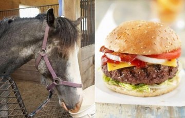 麦当劳推食物原料追踪应用：拒绝马肉汉堡