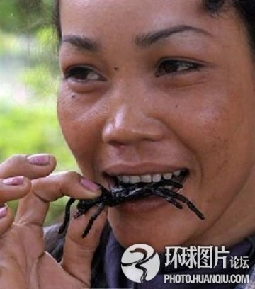 全球最不可思议的“治病”怪招 泰国用蛆治病