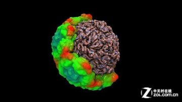 超级计算机助洲科学家揭示感冒病毒真相