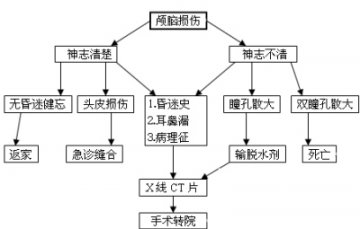 看图表处理颅脑损伤