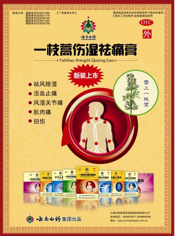一枝蒿伤湿祛痛膏-(国药准字Z53021362)精美广告图欣赏