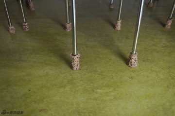 德国问题少年的隔离生活