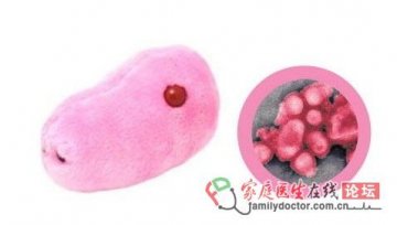 长着猪鼻子的甲型H1N1流感玩偶