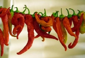 科学家发现辣椒素可对抗肌肉关节疼痛