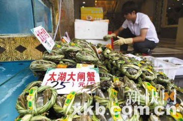 业内曝阳澄湖受到污染已无法养蟹 厂商出面否认