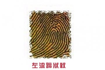 指纹竟决定你的爱情