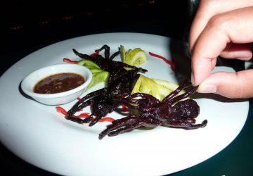 另类美食大盘点 你敢吃吗