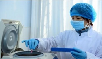 目击H7N9禽流感实验室检测过程