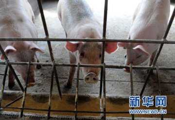 河南警方侦破“瘦肉精”案件 95人被控制