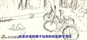 精子如何与卵子结合