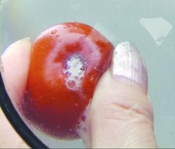冬枣吃着特甜，被糖水泡过？专家称吃多或致癌