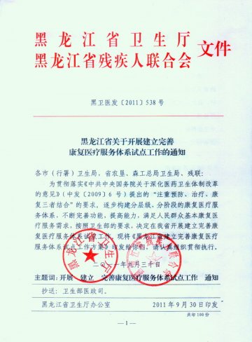 黑龙江省关于开展建立完善康复医疗服务体系试点工作的通知