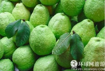 全球最臭的七大美食