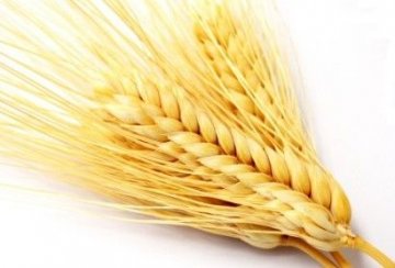 饮食养生：这25种家常食物竟是“抗衰老明星”