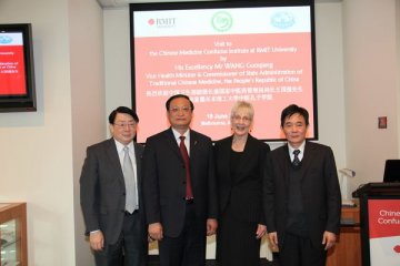 国家卫生部王国强副部长一行访问中医孔子学院
