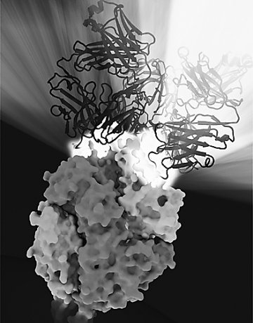 结构生物学胜利为剿灭儿童杀手带来曙光