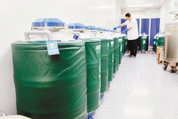 陕西精子库1年帮60人怀孕 接受市民“自精保存”