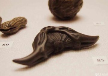 大公开！抗癌食物排行榜前18强