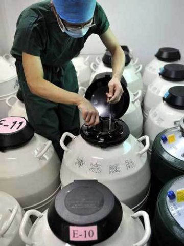 揭秘试管婴儿诞生过程