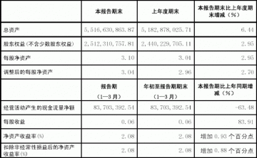 广州药业股份有限公司2005第一季度报告（节录）