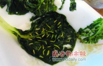 学生在校食堂吃饭吃出76条虫 老师称可能是恶作剧