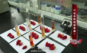 曝草莓种植普遍使用违禁农药 长期食用或致癌