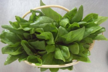 盘点12种壮阳美食：菠菜堪称“天然伟哥”