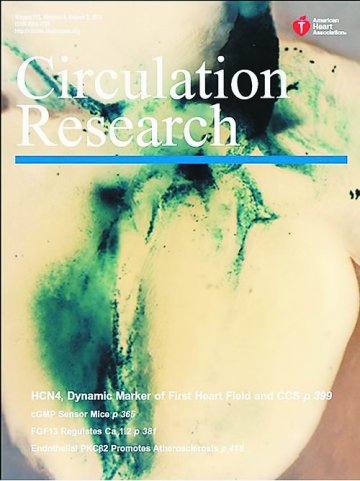科学家首次发现心脏第一心区标志物