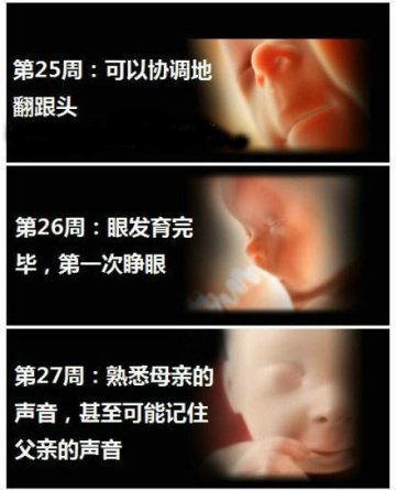 生命的史诗！人类从受精到出生全过程