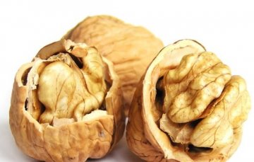 世界卫组织公布：2012健康食物排行榜